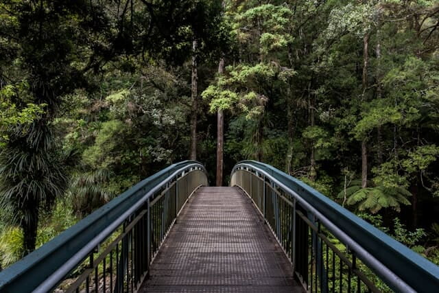 nugwa consulting pathway image